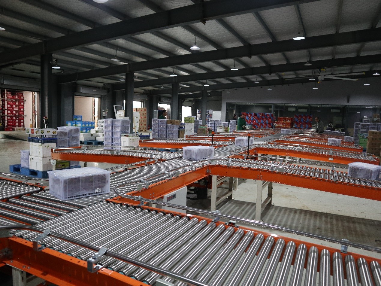 生鮮食品行業(yè)新項(xiàng)目竣工 | 蘇洪鮮食倉(cāng)儲(chǔ)智能管理系統(tǒng)正式上線(xiàn)