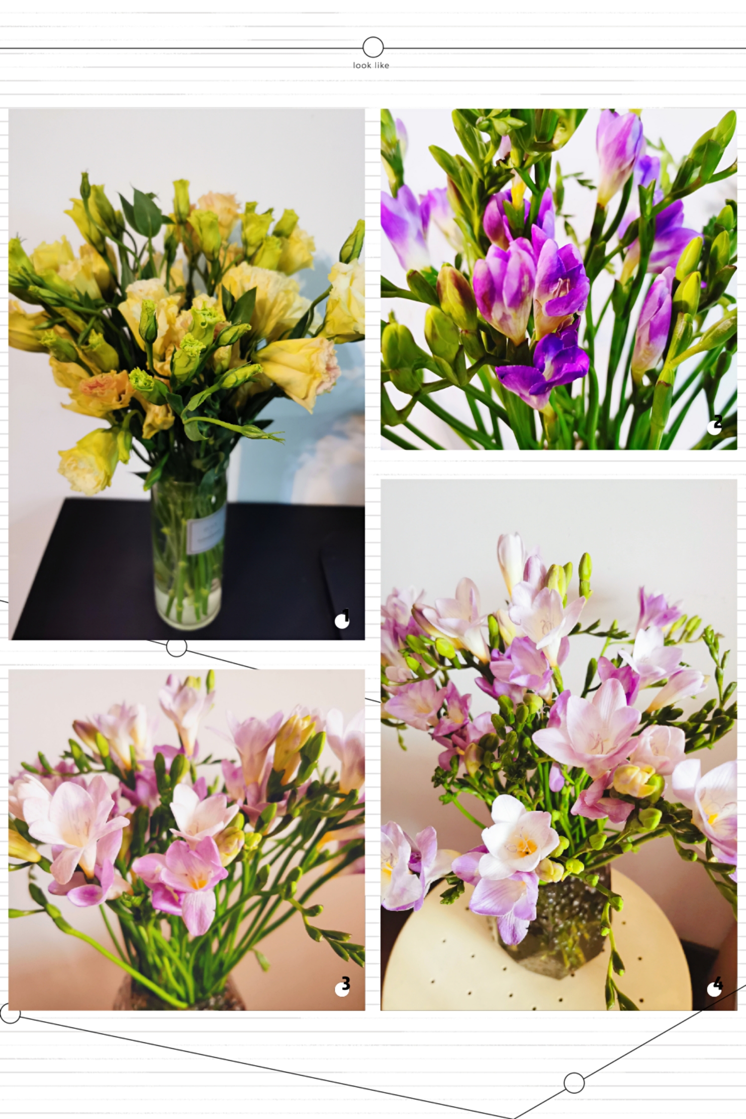 Happy Women’s Day | 戰(zhàn)疫時期，這個三八節(jié)，我們“e”起過！